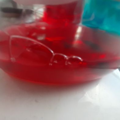tsa_PhotoclubHomeLearning (43)